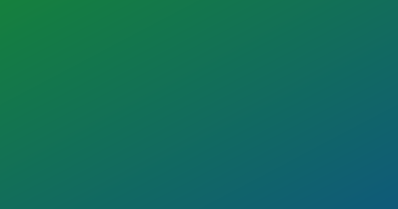 Licencia de Conducir Permanente en México 2025: Guía por Estado